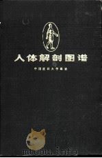 人体解剖图谱  普及本   1979  PDF电子版封面  14119·1359  中国医科大学编绘 