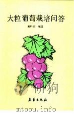 大粒葡萄栽培问答（1991 PDF版）