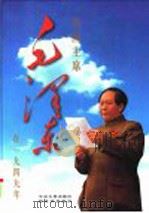 开国主席毛泽东在1949年   1999  PDF电子版封面  7507306267  高风等主编 