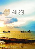 中国宗教伦理与现代化     PDF电子版封面    黄绍伦编 