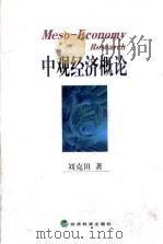 中观经济概论   1999  PDF电子版封面  7505818392  刘克田著 