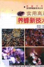 实用高产养蜂新技术（1999 PDF版）