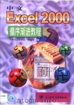 中文Excel 2000循序渐进教程   1999  PDF电子版封面  781065327X  卞绍尤等编著 