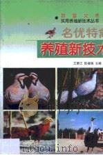 名优特禽养殖新技术   1999  PDF电子版封面  7541612650  王紫江，陈福强主编 