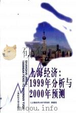 上海经济：1998年分析与1999年预测   1999  PDF电子版封面  7810492993  《上海经济分析与预测》课题组编 