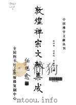 敦煌禅宗文献集成   1998  PDF电子版封面    林世田，刘燕远，申国美编 