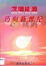 深圳能源迈向新世纪（1996 PDF版）