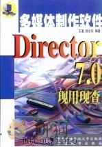 Director 7.0现用现查（1999 PDF版）