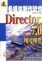 Director 7.0现用现查   1999  PDF电子版封面  7304018097  王湛，孙立东编著 