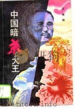 中国暗杀大王（1989 PDF版）