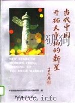 当代中国开拓大市场的新星  第1卷   1994  PDF电子版封面  7503714875  中国信息报社市场经济丛书编辑部编 