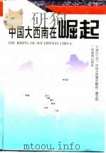 中国大西南在崛起（1994 PDF版）