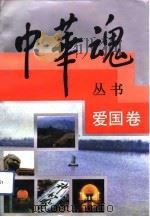 中华魂丛书  爱国卷（1992 PDF版）