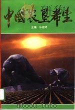 中国农垦希望  1（1995 PDF版）