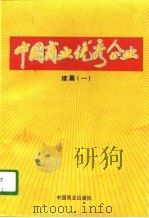 中国商业优秀企业  续篇  1   1996  PDF电子版封面  7504432938  本书编委会编 