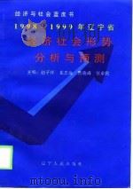 1998-1999年辽宁省经济社会形势分析与预测（1999 PDF版）