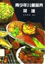 青少年儿童营养菜谱   1991  PDF电子版封面  7501909032  吴佩勋编 