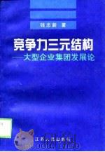 竞争力三元结构  大型企业集团发展论   1999  PDF电子版封面  7214023865  钱志新著 