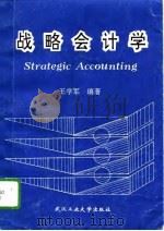 战略会计学（1995 PDF版）