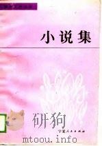 小说集   1989  PDF电子版封面    银川文学丛书编委会 