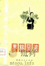 枣林风波  小小说集   1974  PDF电子版封面     