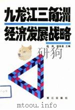 九龙江三角洲经济发展战略（1991 PDF版）