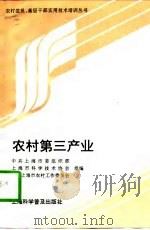 农村第三产业   1997  PDF电子版封面  7542712845  中共上海市委组织部等组编 