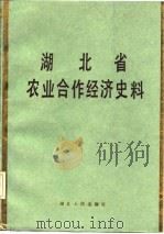 湖北省农业合作经济史料  上   1985  PDF电子版封面    泥元，杨帮基编 