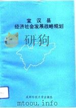 宣汉县经济社会发展战略与规划（1992 PDF版）