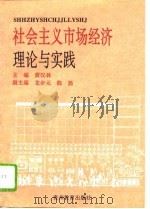 社会主义市场经济理论与实践   1994  PDF电子版封面  780583573X  黄汉林主编 