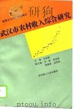 武汉市农村收入综合研究   1995  PDF电子版封面  756091263X  汤尚颖主编 