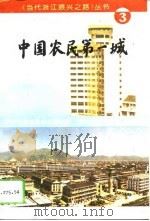 中国农民第一城（1994 PDF版）