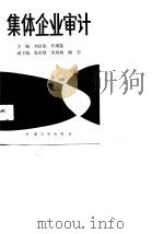 集体企业审计   1989  PDF电子版封面  7810184067  刘花果，杜瑞莲主编 