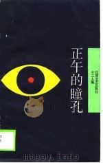 正午的瞳孔   1989  PDF电子版封面  7539900733  杨毅等著 