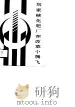 刘家峡化肥厂在改革中腾飞   1989  PDF电子版封面     