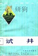 试井   1988  PDF电子版封面  7502101438  徐锡良，黄大权编 