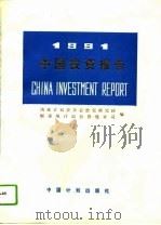 1991中国投资报告   1991  PDF电子版封面  7800582019  国家计划委员会投资研究所，国家统计局投资统计司 