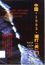 中国，1993，潮打“关”门（1993 PDF版）