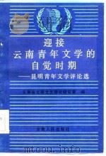 迎接云南青年文学的自觉时期-昆明青年文学评论选（1986 PDF版）