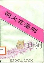 钢火花鉴别   1987  PDF电子版封面  780513054X  杨文星著 