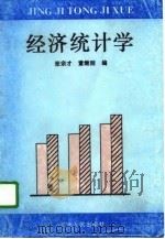 经济统计学   1996  PDF电子版封面  7201027832  张宗才，董继刚编 