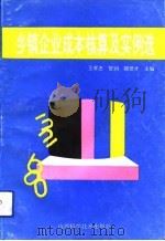 乡镇企业成本核算及实例选   1993  PDF电子版封面  7537707243  王孝忠等主编 