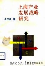 上海产业发展战略研究   1993  PDF电子版封面  7309010167  沈玉良著 