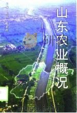 山东农业概况   1999  PDF电子版封面  720902400X  陈沂，滕希群主编 