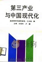 第三产业与中国现代化（1992 PDF版）