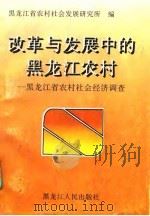改革与发展中的黑龙江农村  黑龙江省农村社会经济调查  下（1996 PDF版）