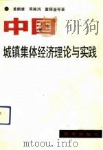 中国城镇集体经济理论与实践   1991  PDF电子版封面  7800722422  黄鹏章等著 