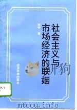 社会主义与市场经济的联姻  对一个历史性难题的理论考察   1996  PDF电子版封面  7505808958  张宇著 