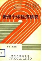 贵州个体经济研究（1990 PDF版）