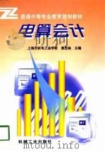 电算会计（1998 PDF版）